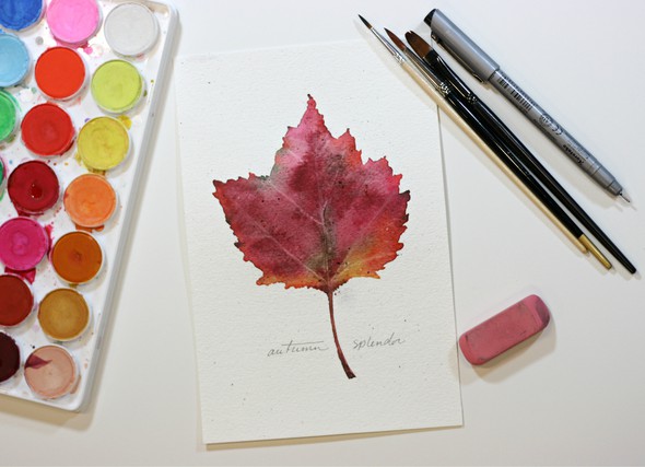 watercolor leaf by dewsgirl gallery