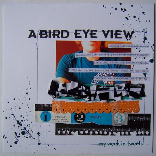 A Bird Eye View-My Week in Tweets
