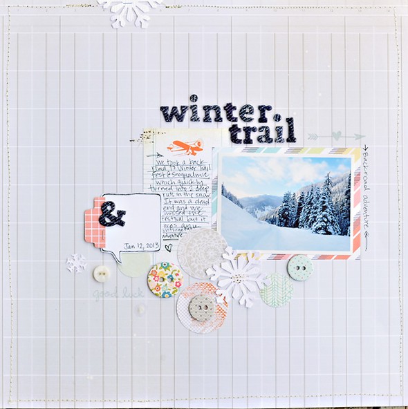 Winter Trail by TamiG gallery