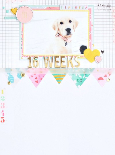 16 weeks