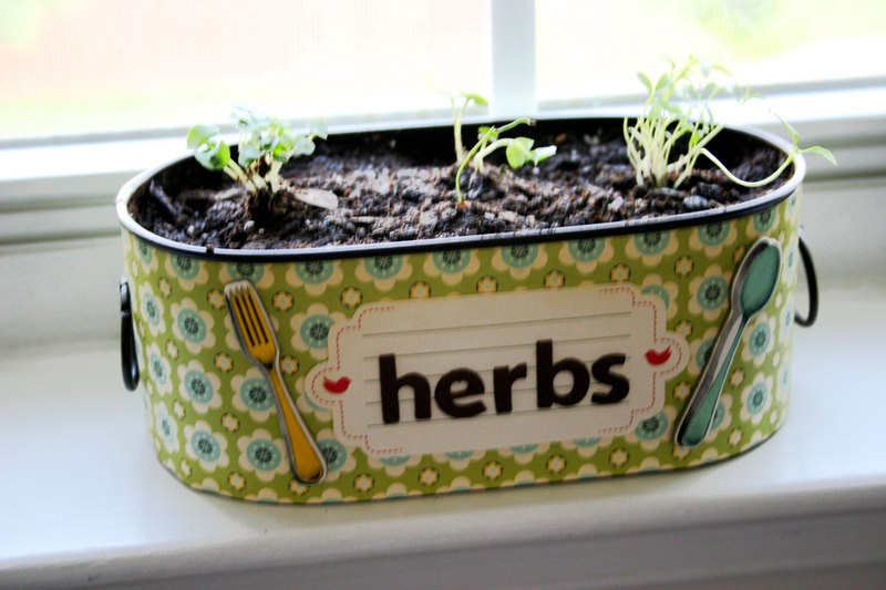 Herbs sm 1