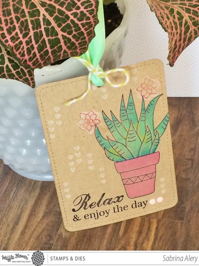 Relax potted planted waffle flower crafts january 2015 sabrina alery