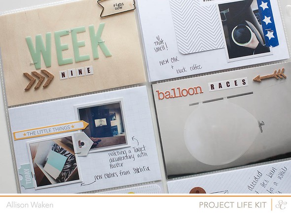 Project Life Week 9 by AllisonWaken gallery