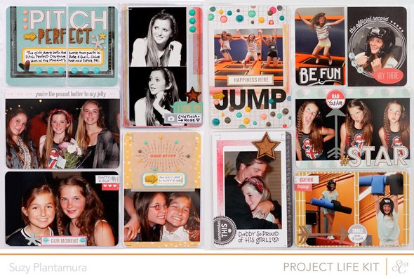 Project Life Week 24 Insert by suzyplant gallery