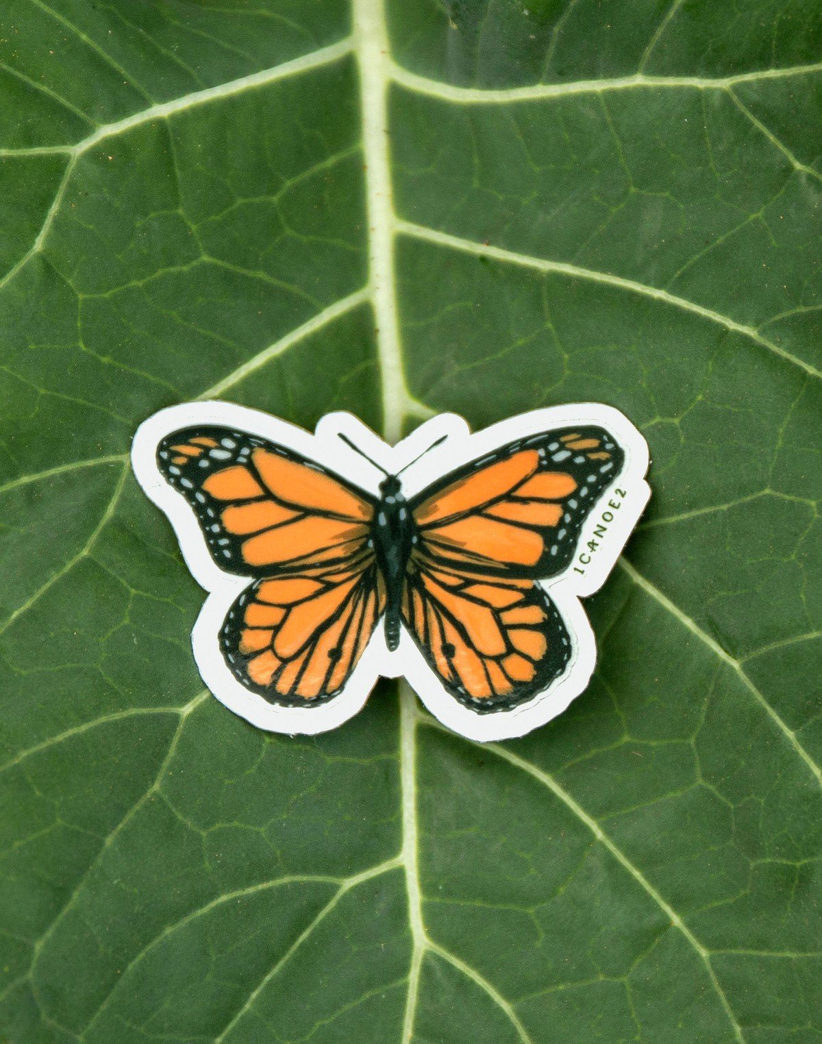 Monarch Butterfly Clear Decal Sticker item