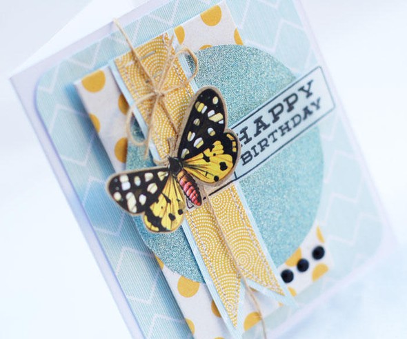 Butterfly Birthday Card by agomalley gallery