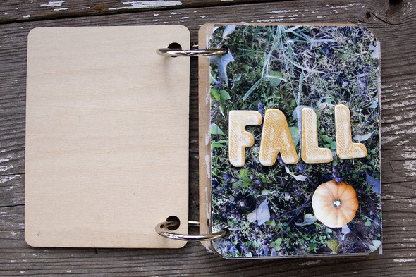 Fall Mini Album by ajmcgarvey gallery