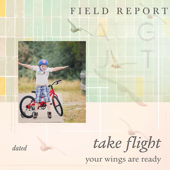 Take flight by mandy1632 gallery