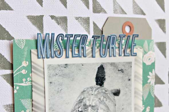 Mister Turtle Friend by KateKennedy gallery