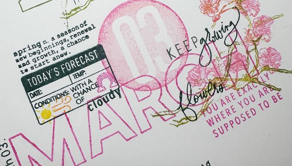 Stamp Set : 4×6 March Highlights gallery