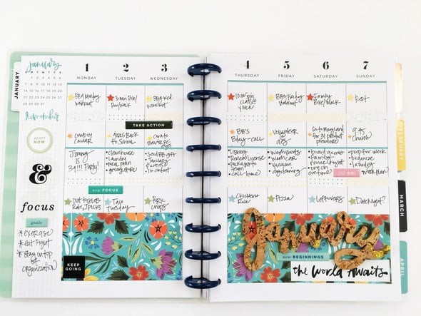 January Weekly Spread in Happy Planner Classic (Vertical) by stephanie_howell gallery