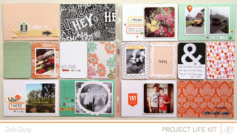 Project Life Week 21