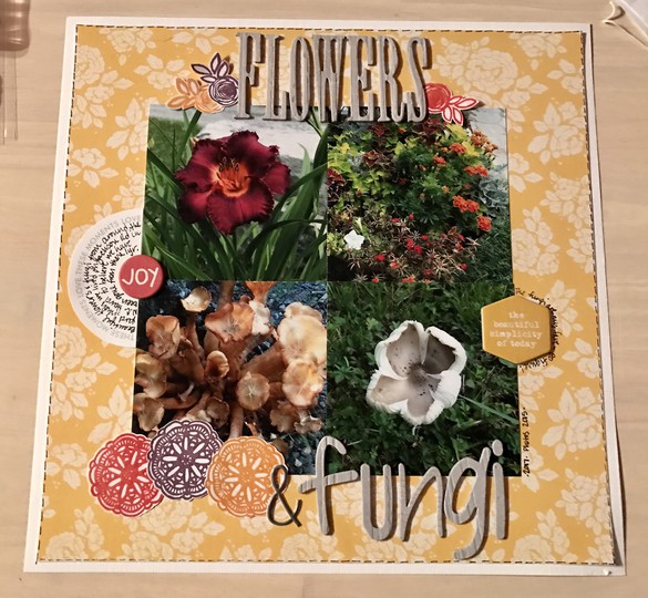 Flowers & Fungi