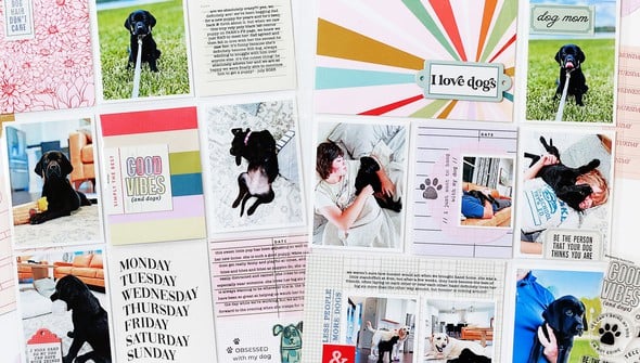 Stamp Set : 4×6 Dog Lover by Goldenwood Co gallery
