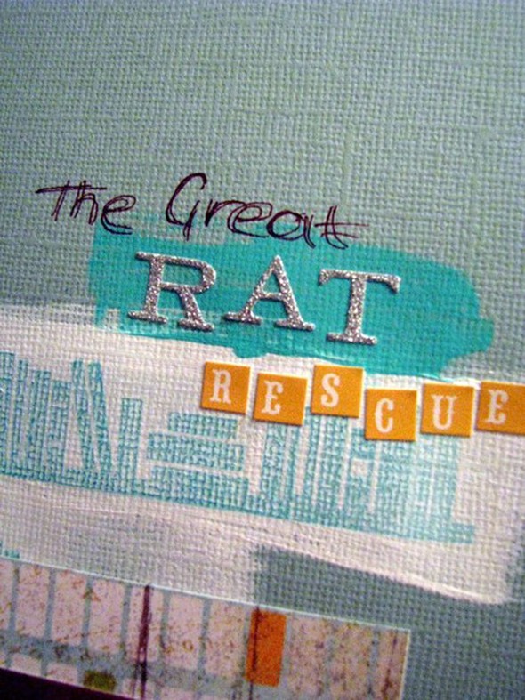The great rat rescue by naomi_m gallery