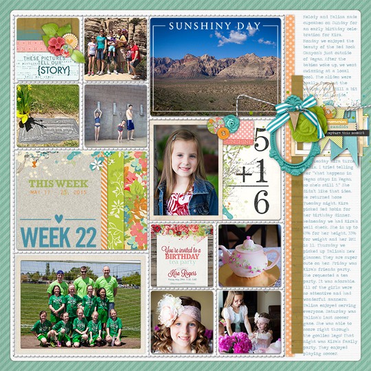 Project Life 2015: Week 22