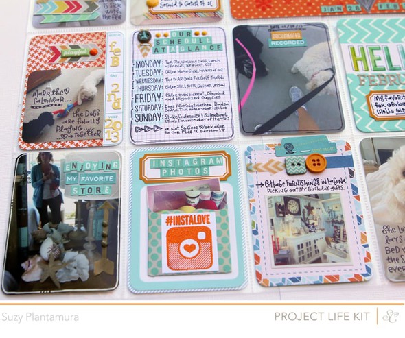 Project Life Week 5 2013 by suzyplant gallery