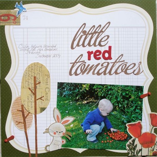 little red tomatoes