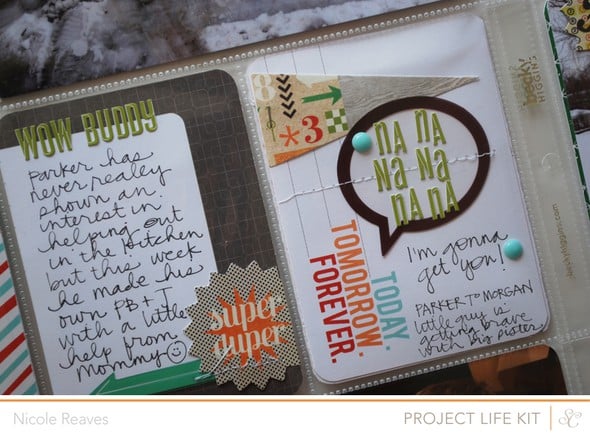 Project Life : Week 9 : PL add-on only by nicolereaves gallery