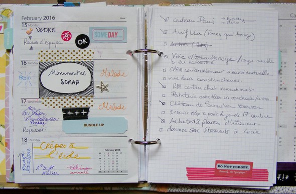 daily february ***PLANNER*** by elisap gallery