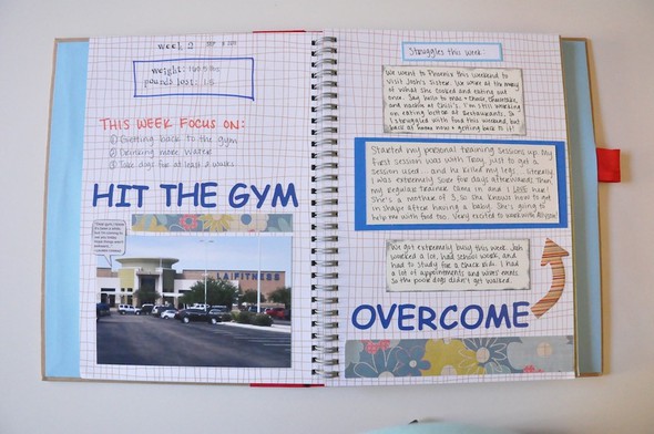 Weight Loss Journal - Smash style! by SwannPrincess gallery