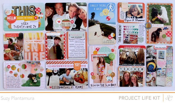 Project Life Week 21 (PL KIT ONLY) by suzyplant gallery