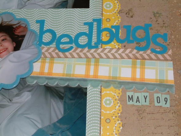 Bedbugs by Betsy_Gourley gallery