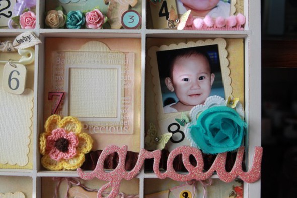 12-month Photo Tray by carylhope gallery