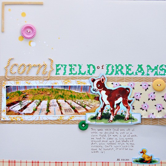Corn Field of Dreams