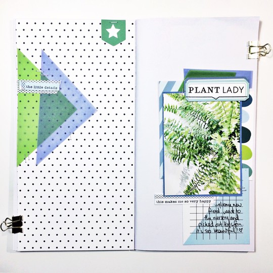 PLANT LADY TN LAYOUT AND PROCESS VIDEO 