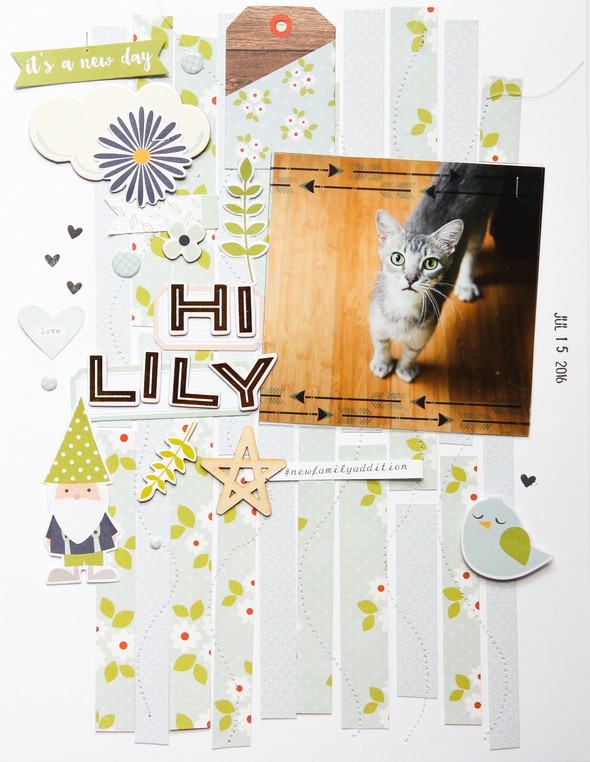 Hi Lily by patricia gallery