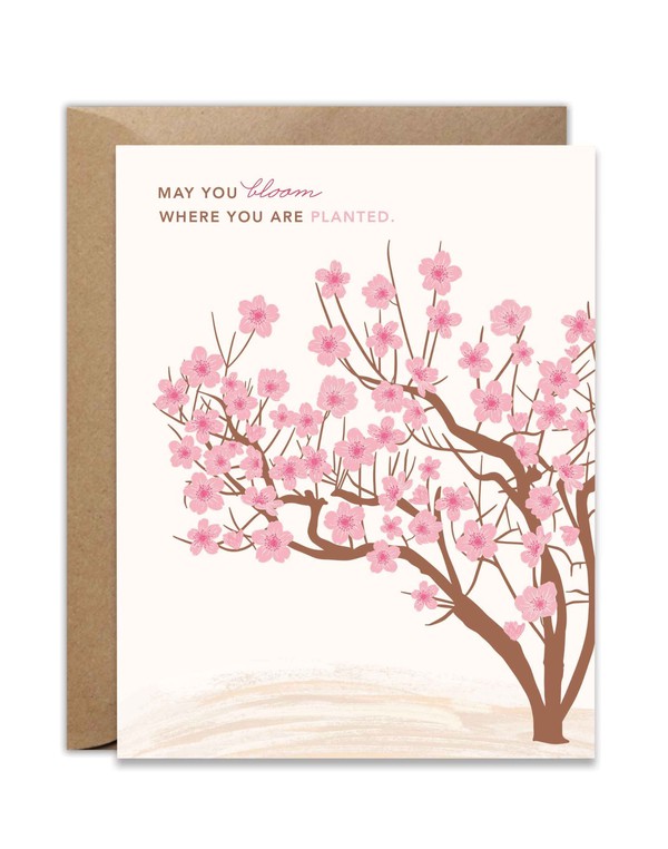 Bloom Where You Are Planted Peach Tree Greeting Card, 1 of 1