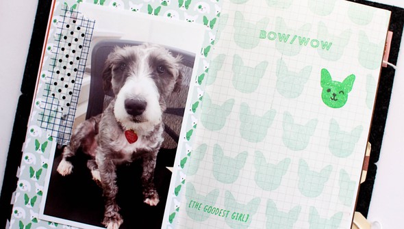 Stamp Set : 4x6 Scout & Luna Dogs by Allison Pennington gallery