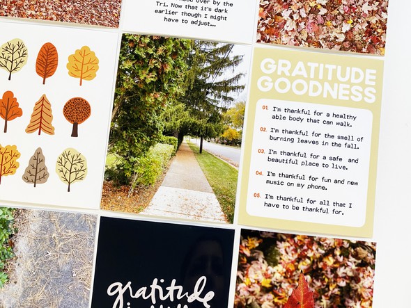 Gratitude gallery