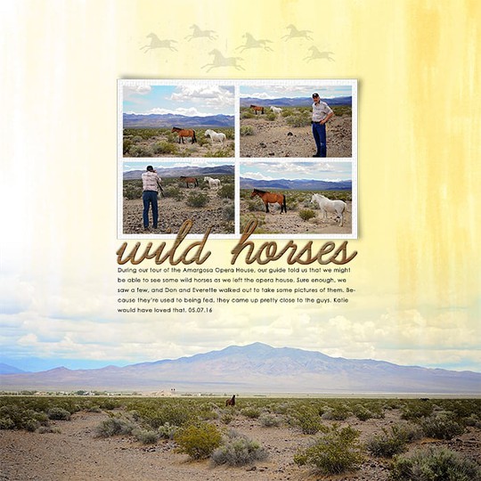Wild Horses (r)