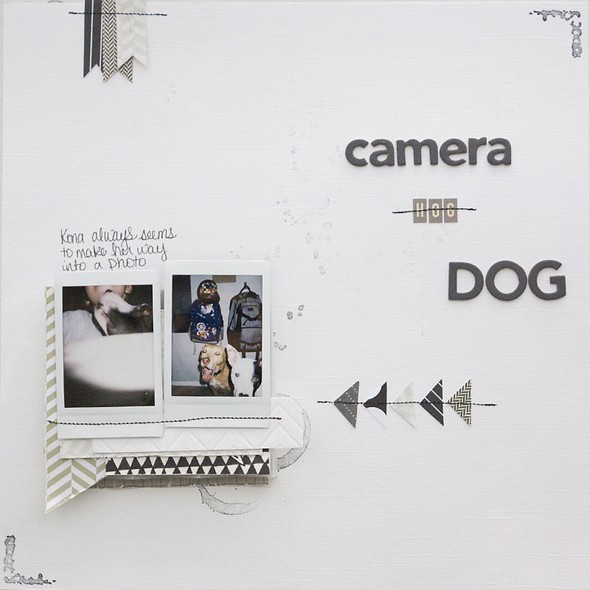 Camera hog (I mean dog) by AllisonWaken gallery