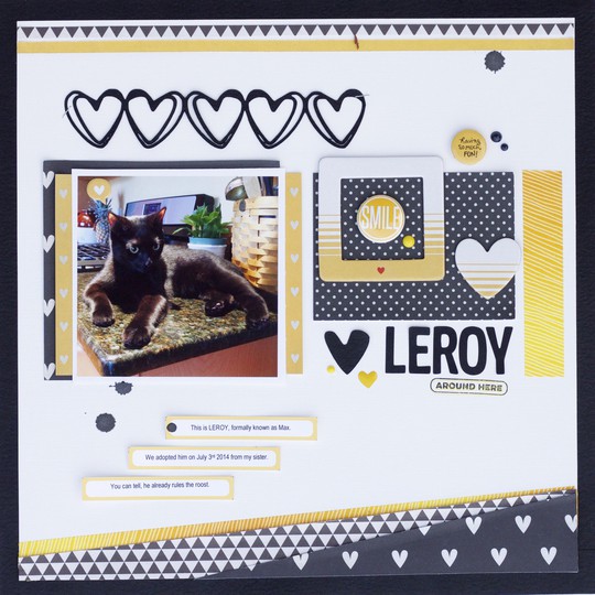 Leroy 12x12 b