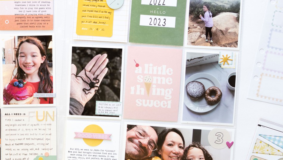 project_life subscription