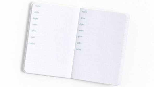 Mini Book of Plants gallery
