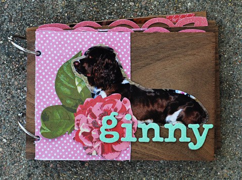Ginny mini album 1