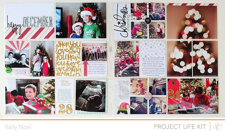 Project Life December 2012