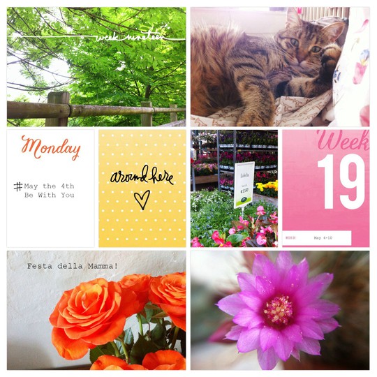 Project Life 2015 - Week 19