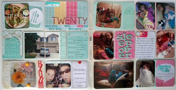 Project Life Week 20: Using BH Blush, SC, and Dear Lizzy by Taniesa gallery