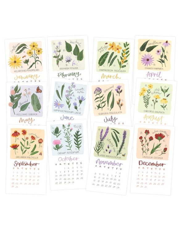 2024 Stump Calendar Wildflower Botanicals 1canoe2