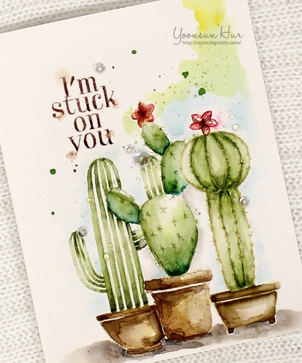 Your Own Cactus by Yoonsun gallery