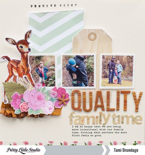 Quality Family Time by TamiG gallery