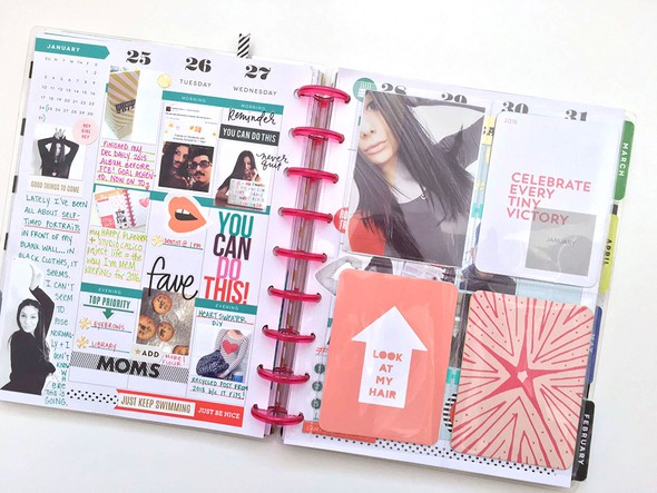 January 2016 in The Happy Planner™ by amanda_r0se gallery