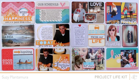 Project Life Week 15 (PL Kit ONLY) by suzyplant gallery