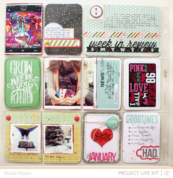 Project LIfe {February Kit #2} by NicoleH gallery