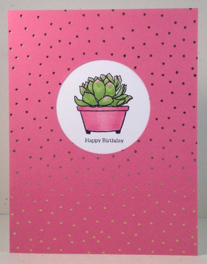 sweet succulent birthday card